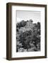 ¡Viva Mexico! B&W Collection - Pyramid in Mayan City of Calakmul VIII-Philippe Hugonnard-Framed Photographic Print