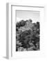 ¡Viva Mexico! B&W Collection - Pyramid in Mayan City of Calakmul VIII-Philippe Hugonnard-Framed Photographic Print