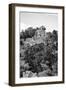 ¡Viva Mexico! B&W Collection - Pyramid in Mayan City of Calakmul VIII-Philippe Hugonnard-Framed Photographic Print