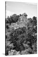 ¡Viva Mexico! B&W Collection - Pyramid in Mayan City of Calakmul VIII-Philippe Hugonnard-Stretched Canvas