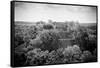 ¡Viva Mexico! B&W Collection - Pyramid in Mayan City of Calakmul-Philippe Hugonnard-Framed Stretched Canvas