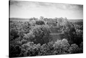 ¡Viva Mexico! B&W Collection - Pyramid in Mayan City of Calakmul-Philippe Hugonnard-Stretched Canvas