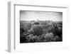 ¡Viva Mexico! B&W Collection - Pyramid in Mayan City of Calakmul-Philippe Hugonnard-Framed Photographic Print