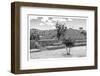 ¡Viva Mexico! B&W Collection - Pyramid of Cantona III-Philippe Hugonnard-Framed Photographic Print