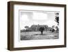 ¡Viva Mexico! B&W Collection - Pyramid of Cantona IV-Philippe Hugonnard-Framed Photographic Print