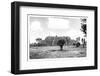 ¡Viva Mexico! B&W Collection - Pyramid of Cantona IV-Philippe Hugonnard-Framed Photographic Print