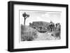 ¡Viva Mexico! B&W Collection - Pyramid of Cantona-Philippe Hugonnard-Framed Photographic Print