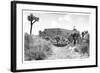 ¡Viva Mexico! B&W Collection - Pyramid of Cantona-Philippe Hugonnard-Framed Photographic Print