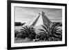 ¡Viva Mexico! B&W Collection - Pyramid of Chichen Itza II-Philippe Hugonnard-Framed Photographic Print