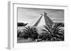 ¡Viva Mexico! B&W Collection - Pyramid of Chichen Itza II-Philippe Hugonnard-Framed Photographic Print