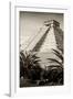 ¡Viva Mexico! B&W Collection - Pyramid of Chichen Itza III-Philippe Hugonnard-Framed Photographic Print