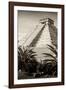 ¡Viva Mexico! B&W Collection - Pyramid of Chichen Itza III-Philippe Hugonnard-Framed Photographic Print