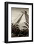 ¡Viva Mexico! B&W Collection - Pyramid of Chichen Itza III-Philippe Hugonnard-Framed Photographic Print