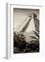 ¡Viva Mexico! B&W Collection - Pyramid of Chichen Itza III-Philippe Hugonnard-Framed Premium Photographic Print