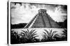 ¡Viva Mexico! B&W Collection - Pyramid of Chichen Itza V-Philippe Hugonnard-Stretched Canvas