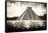 ¡Viva Mexico! B&W Collection - Pyramid of Chichen Itza VI-Philippe Hugonnard-Framed Stretched Canvas
