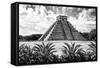 ?Viva Mexico! B&W Collection - Pyramid of Chichen Itza VII-Philippe Hugonnard-Framed Stretched Canvas