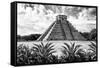 ?Viva Mexico! B&W Collection - Pyramid of Chichen Itza VII-Philippe Hugonnard-Framed Stretched Canvas