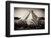 ¡Viva Mexico! B&W Collection - Pyramid of Chichen Itza-Philippe Hugonnard-Framed Photographic Print