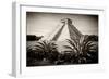 ¡Viva Mexico! B&W Collection - Pyramid of Chichen Itza-Philippe Hugonnard-Framed Photographic Print