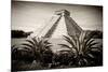 ¡Viva Mexico! B&W Collection - Pyramid of Chichen Itza-Philippe Hugonnard-Mounted Photographic Print
