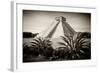 ¡Viva Mexico! B&W Collection - Pyramid of Chichen Itza-Philippe Hugonnard-Framed Photographic Print