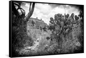 ¡Viva Mexico! B&W Collection - Pyramid of Puebla II (Cantona Ruins)-Philippe Hugonnard-Framed Stretched Canvas