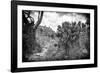 ¡Viva Mexico! B&W Collection - Pyramid of Puebla II (Cantona Ruins)-Philippe Hugonnard-Framed Photographic Print