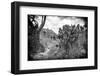 ¡Viva Mexico! B&W Collection - Pyramid of Puebla II (Cantona Ruins)-Philippe Hugonnard-Framed Photographic Print