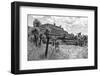 ¡Viva Mexico! B&W Collection - Pyramid of Puebla III (Cantona Ruins)-Philippe Hugonnard-Framed Photographic Print