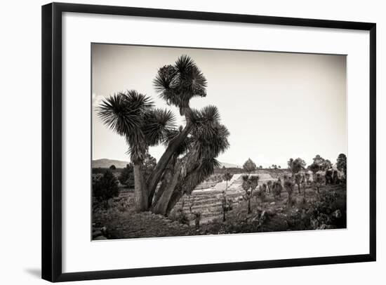 ¡Viva Mexico! B&W Collection - Pyramid of Puebla IX (Cantona Ruins)-Philippe Hugonnard-Framed Photographic Print