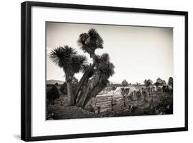 ¡Viva Mexico! B&W Collection - Pyramid of Puebla IX (Cantona Ruins)-Philippe Hugonnard-Framed Photographic Print