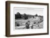 ¡Viva Mexico! B&W Collection - Pyramid of Puebla VI (Cantona Ruins)-Philippe Hugonnard-Framed Photographic Print