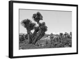 ¡Viva Mexico! B&W Collection - Pyramid of Puebla VIII (Cantona Ruins)-Philippe Hugonnard-Framed Photographic Print