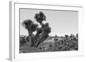 ¡Viva Mexico! B&W Collection - Pyramid of Puebla VIII (Cantona Ruins)-Philippe Hugonnard-Framed Photographic Print