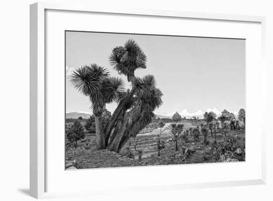 ¡Viva Mexico! B&W Collection - Pyramid of Puebla VIII (Cantona Ruins)-Philippe Hugonnard-Framed Photographic Print