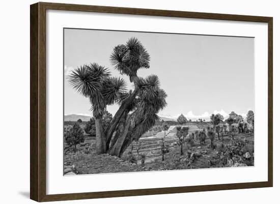 ¡Viva Mexico! B&W Collection - Pyramid of Puebla VIII (Cantona Ruins)-Philippe Hugonnard-Framed Photographic Print