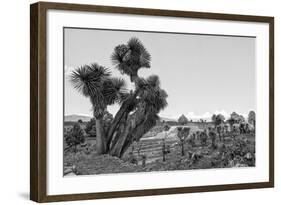 ¡Viva Mexico! B&W Collection - Pyramid of Puebla VIII (Cantona Ruins)-Philippe Hugonnard-Framed Photographic Print