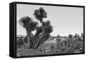 ¡Viva Mexico! B&W Collection - Pyramid of Puebla VIII (Cantona Ruins)-Philippe Hugonnard-Framed Stretched Canvas