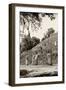 ?Viva Mexico! B&W Collection - Pyramid of the ancient Mayan city of Calakmul II-Philippe Hugonnard-Framed Photographic Print