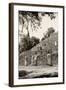 ?Viva Mexico! B&W Collection - Pyramid of the ancient Mayan city of Calakmul II-Philippe Hugonnard-Framed Photographic Print