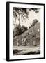 ?Viva Mexico! B&W Collection - Pyramid of the ancient Mayan city of Calakmul II-Philippe Hugonnard-Framed Photographic Print