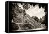 ¡Viva Mexico! B&W Collection - Pyramid of the ancient Mayan city of Calakmul III-Philippe Hugonnard-Framed Stretched Canvas