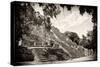 ¡Viva Mexico! B&W Collection - Pyramid of the ancient Mayan city of Calakmul III-Philippe Hugonnard-Stretched Canvas