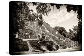 ¡Viva Mexico! B&W Collection - Pyramid of the ancient Mayan city of Calakmul III-Philippe Hugonnard-Stretched Canvas