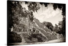 ¡Viva Mexico! B&W Collection - Pyramid of the ancient Mayan city of Calakmul III-Philippe Hugonnard-Stretched Canvas