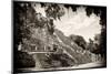 ¡Viva Mexico! B&W Collection - Pyramid of the ancient Mayan city of Calakmul III-Philippe Hugonnard-Mounted Photographic Print