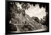 ¡Viva Mexico! B&W Collection - Pyramid of the ancient Mayan city of Calakmul III-Philippe Hugonnard-Framed Photographic Print