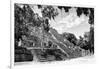 ¡Viva Mexico! B&W Collection - Pyramid of the ancient Mayan city of Calakmul IV-Philippe Hugonnard-Framed Photographic Print