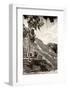¡Viva Mexico! B&W Collection - Pyramid of the ancient Mayan city of Calakmul V-Philippe Hugonnard-Framed Photographic Print
